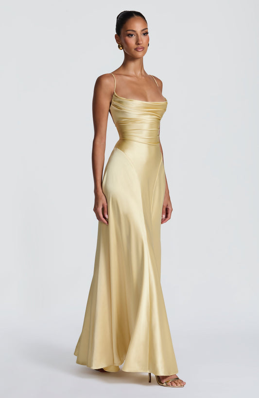 https://cdn.shopify.com/s/files/1/2060/7491/files/adelina-maxi-dress-lemon-dress-babyboo-fashion-1227051434.jpg?v=1773709628