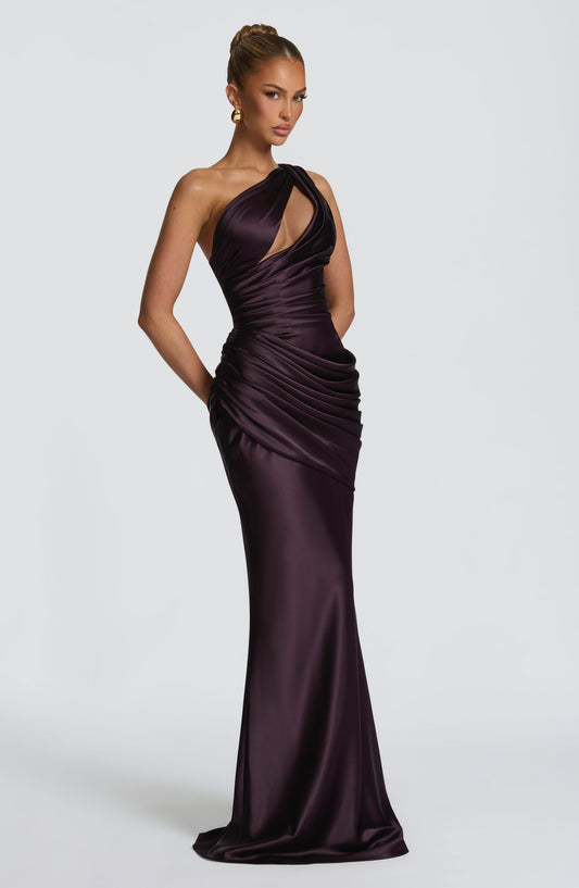 https://cdn.shopify.com/s/files/1/2060/7491/files/emina-maxi-dress-plum-dress-babyboo-fashion-1229854229.jpg?v=1776143017